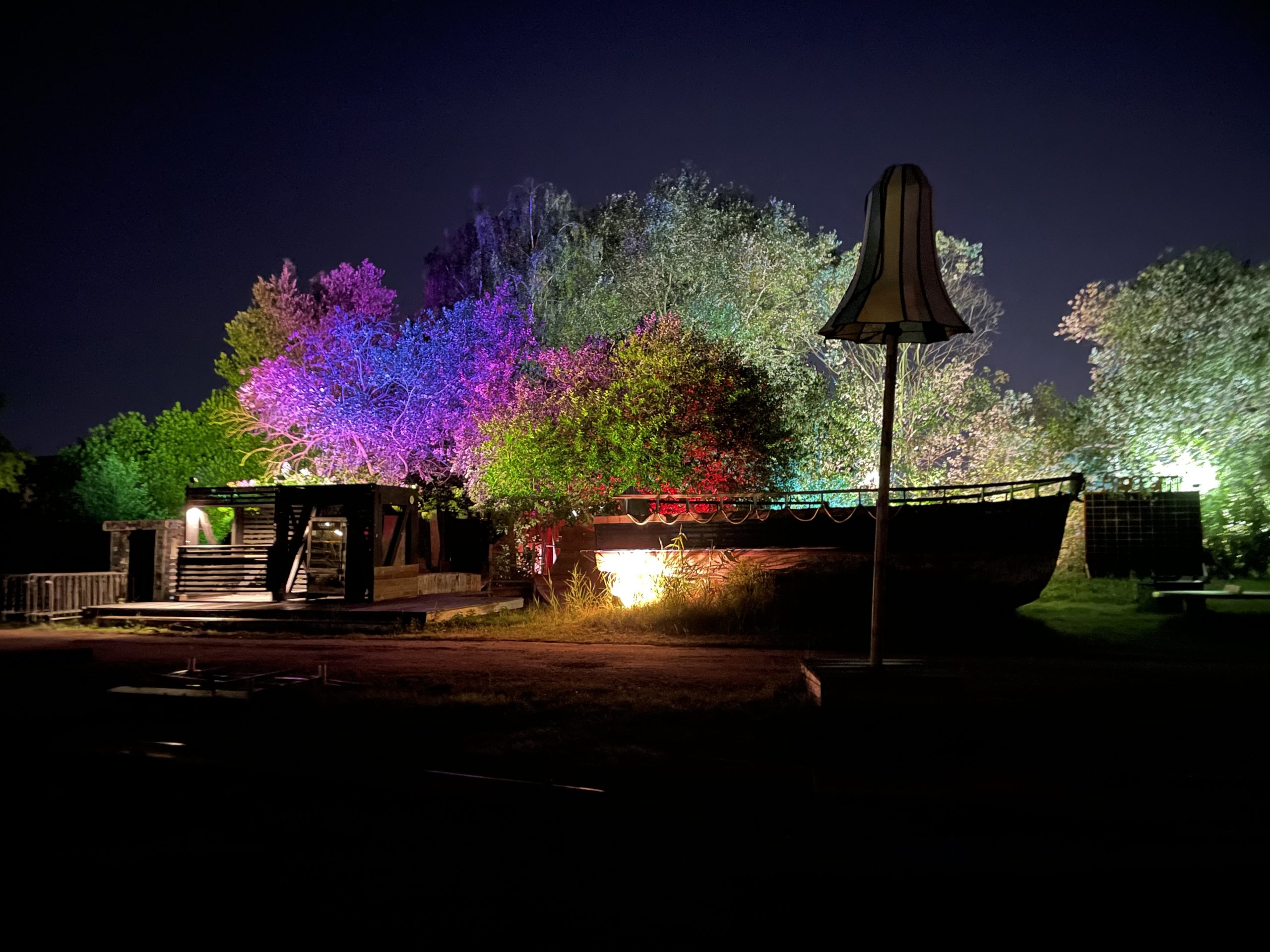 Illuminated trees in winter